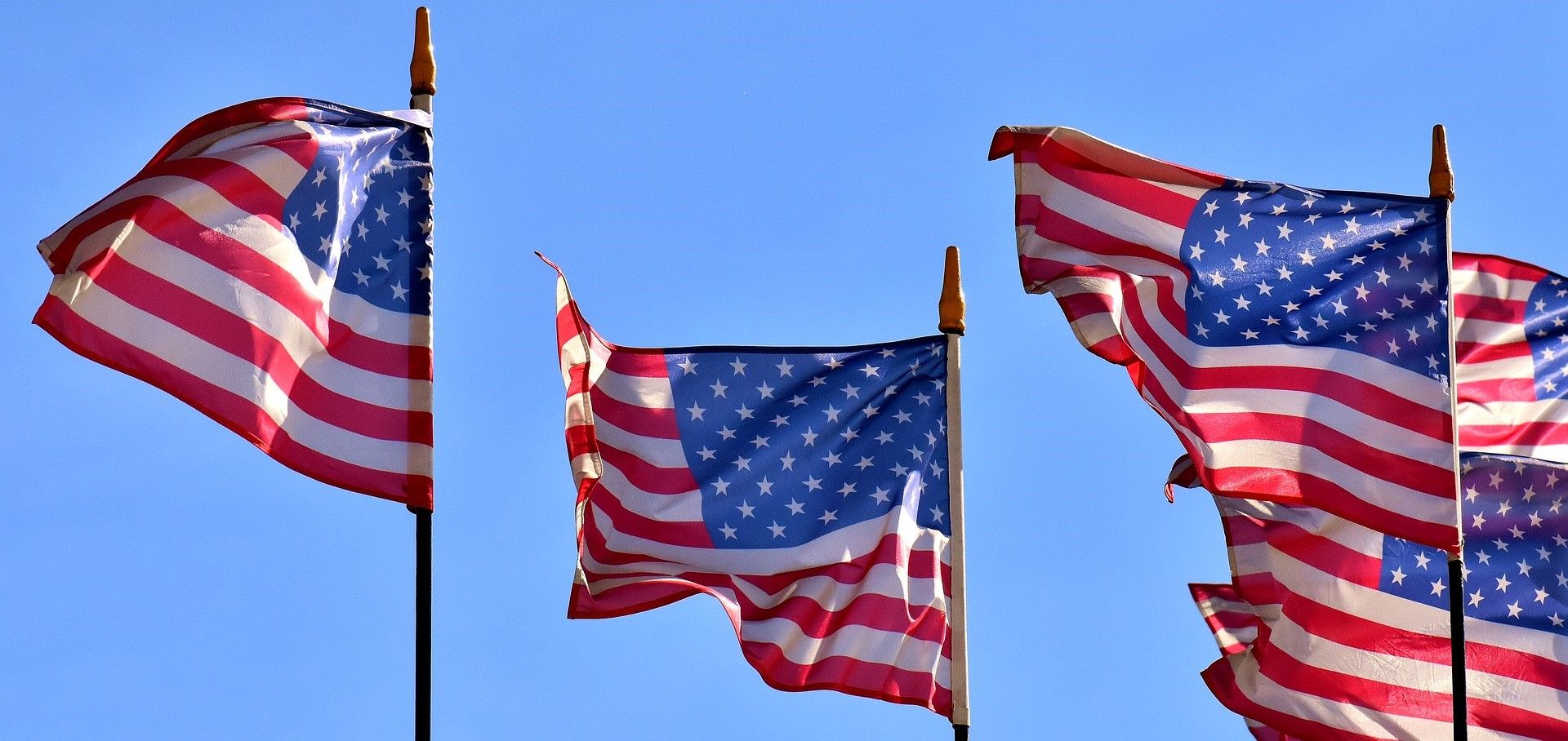 American flags blowing in wind with blue sky in the background 